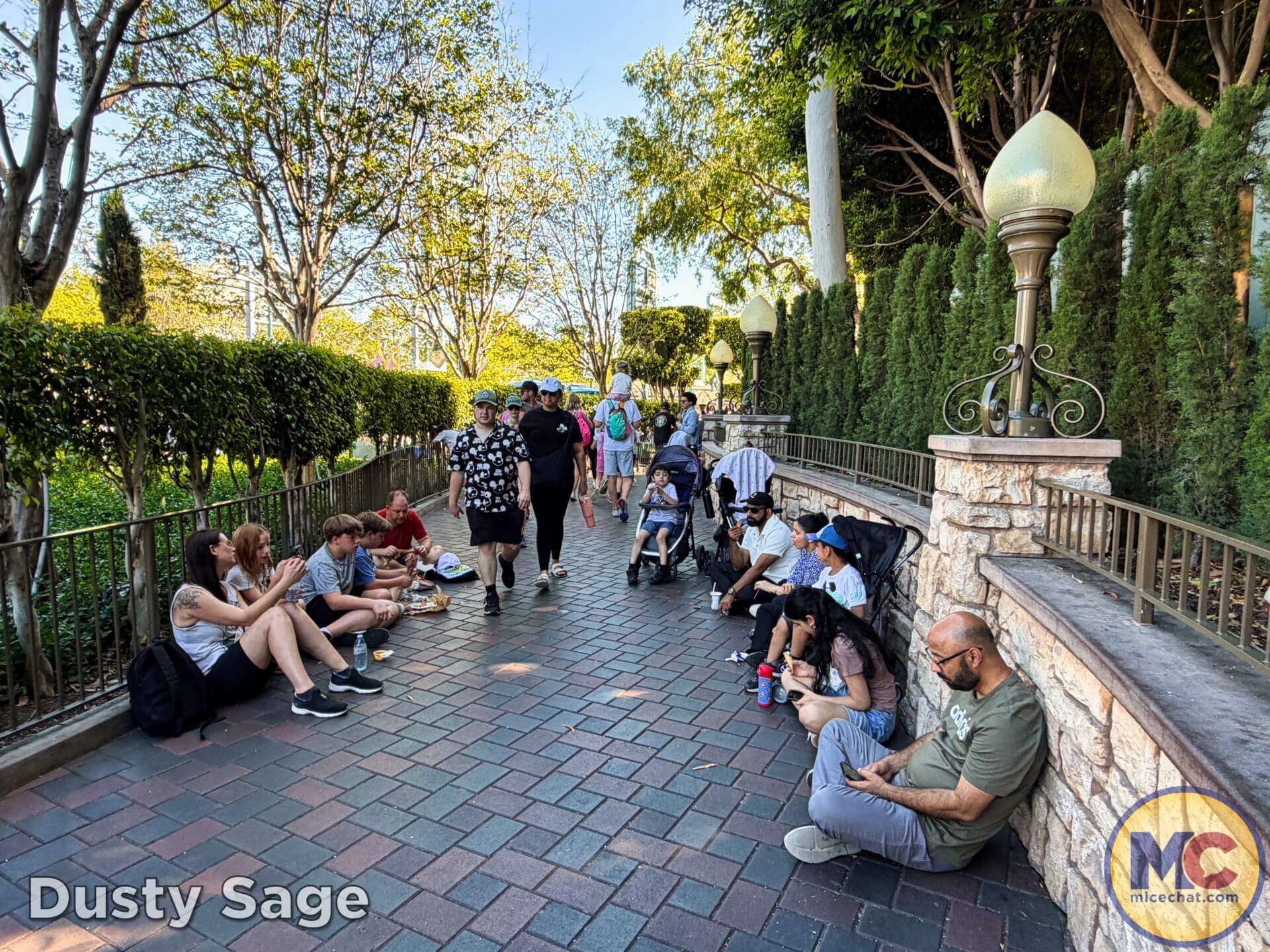 Disneyland Update, DISNEYLAND UPDATE: New Boss, Bluey Meltdown & Rising Heat!