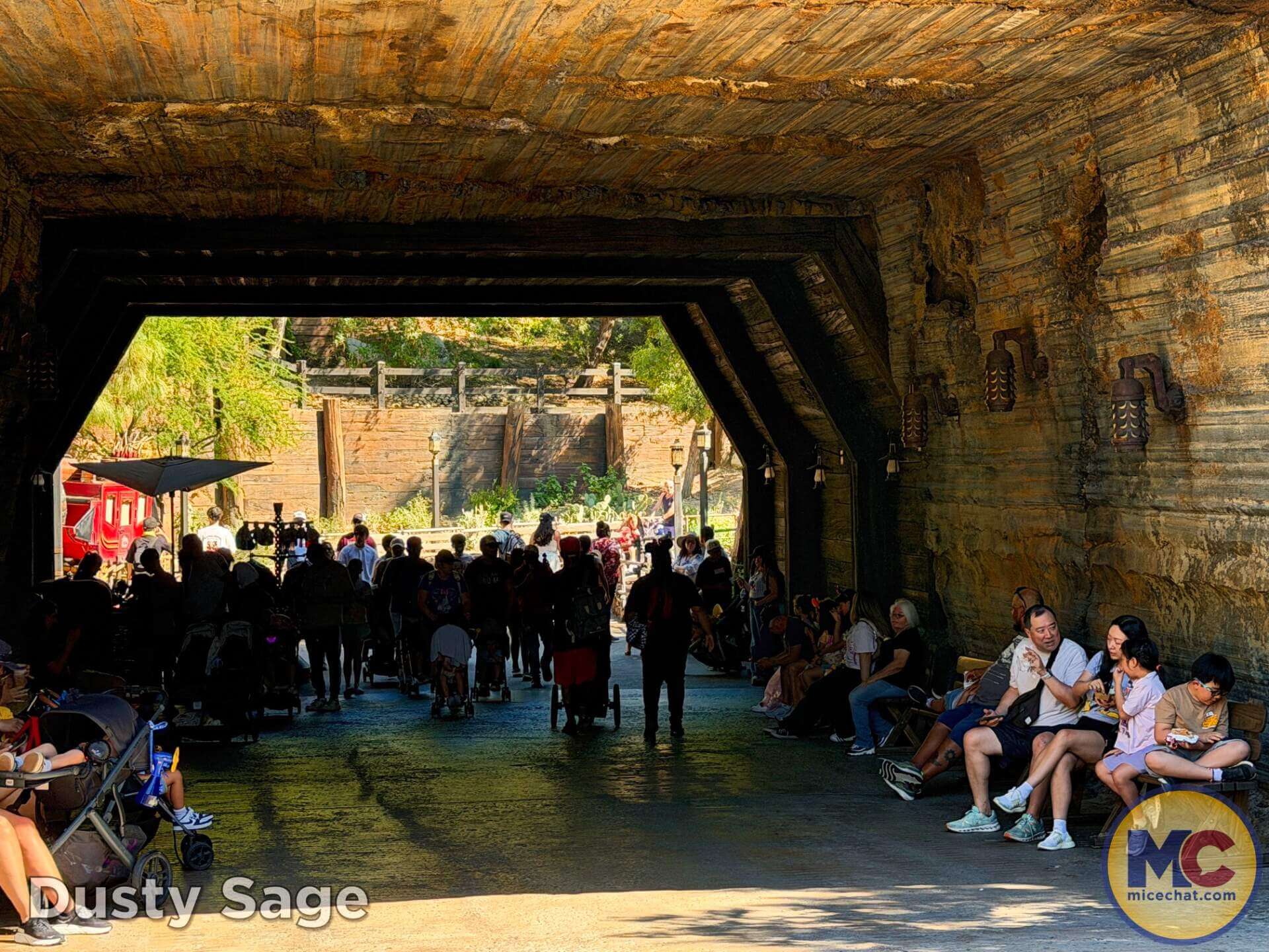 Disneyland Update, DISNEYLAND UPDATE: New Boss, Bluey Meltdown & Rising Heat!