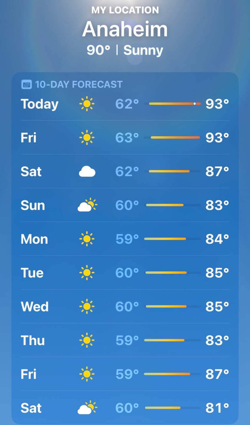Disneyland Update, DISNEYLAND UPDATE: New Boss, Bluey Meltdown & Rising Heat!