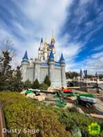 Walt Disney World construction magic kingdom castle repaint distant MiceChat