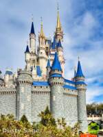 Walt Disney World construction magic kingdom castle repaint tall MiceChat