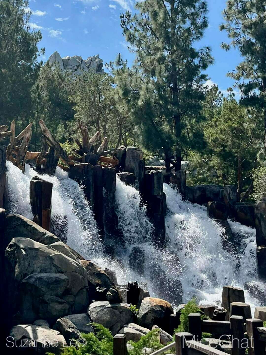 , DISNEYLAND UPDATE: Main Street Honors, Toy Story Things & Star Wars Dreams