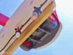DCA-Cars-Land-Bugs-2