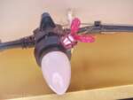DCA-Cars-Land-Bugs-3
