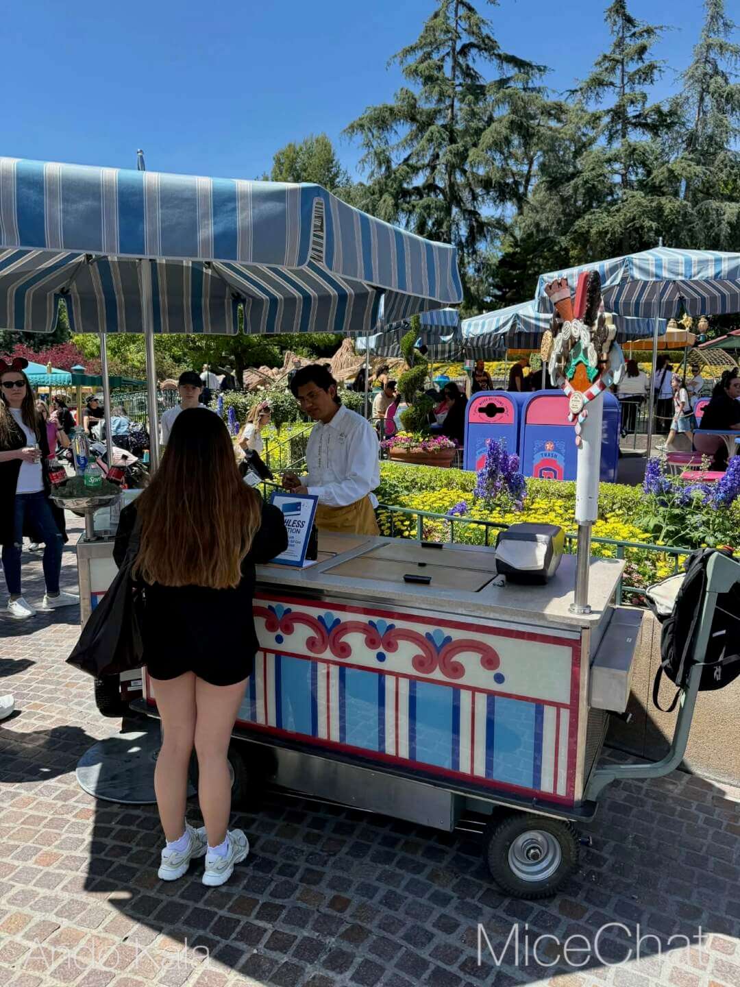 , DISNEYLAND UPDATE: Main Street Honors, Toy Story Things & Star Wars Dreams