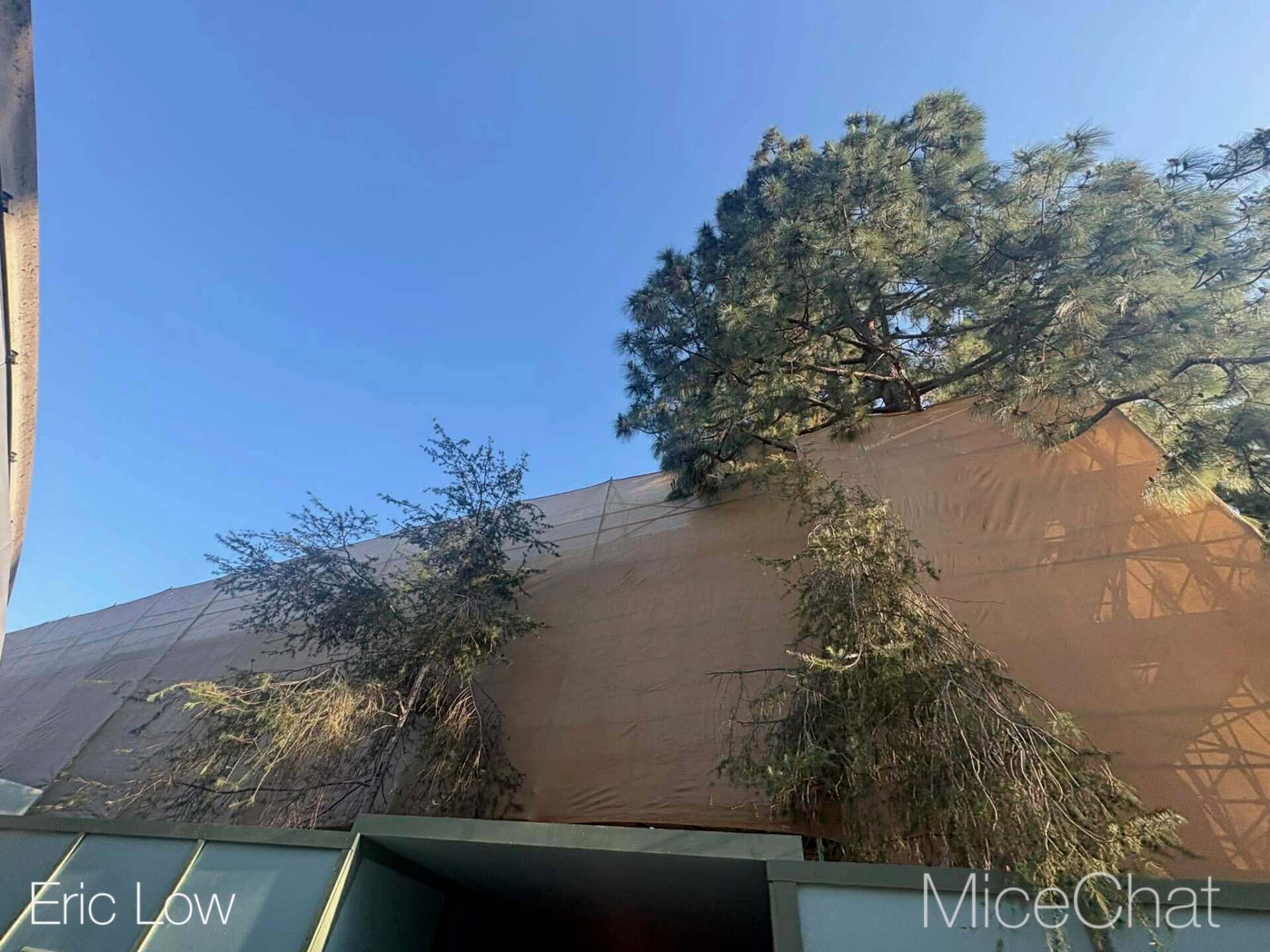Disneyland Update, DISNEYLAND UPDATE: Spring Break Surge, D23 Drama & Construction Blues