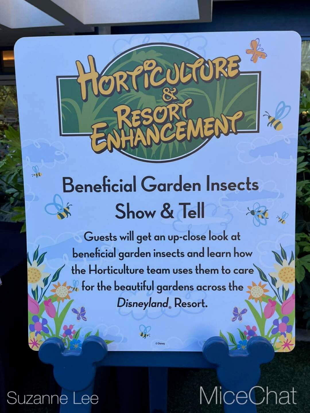 Disneyland Update, DISNEYLAND UPDATE: Spring Break Surge, D23 Drama & Construction Blues