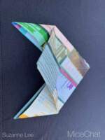 DLR-Earth-Day-2026-Map-Origami-3