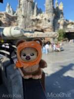 DLR-GE-Ewok