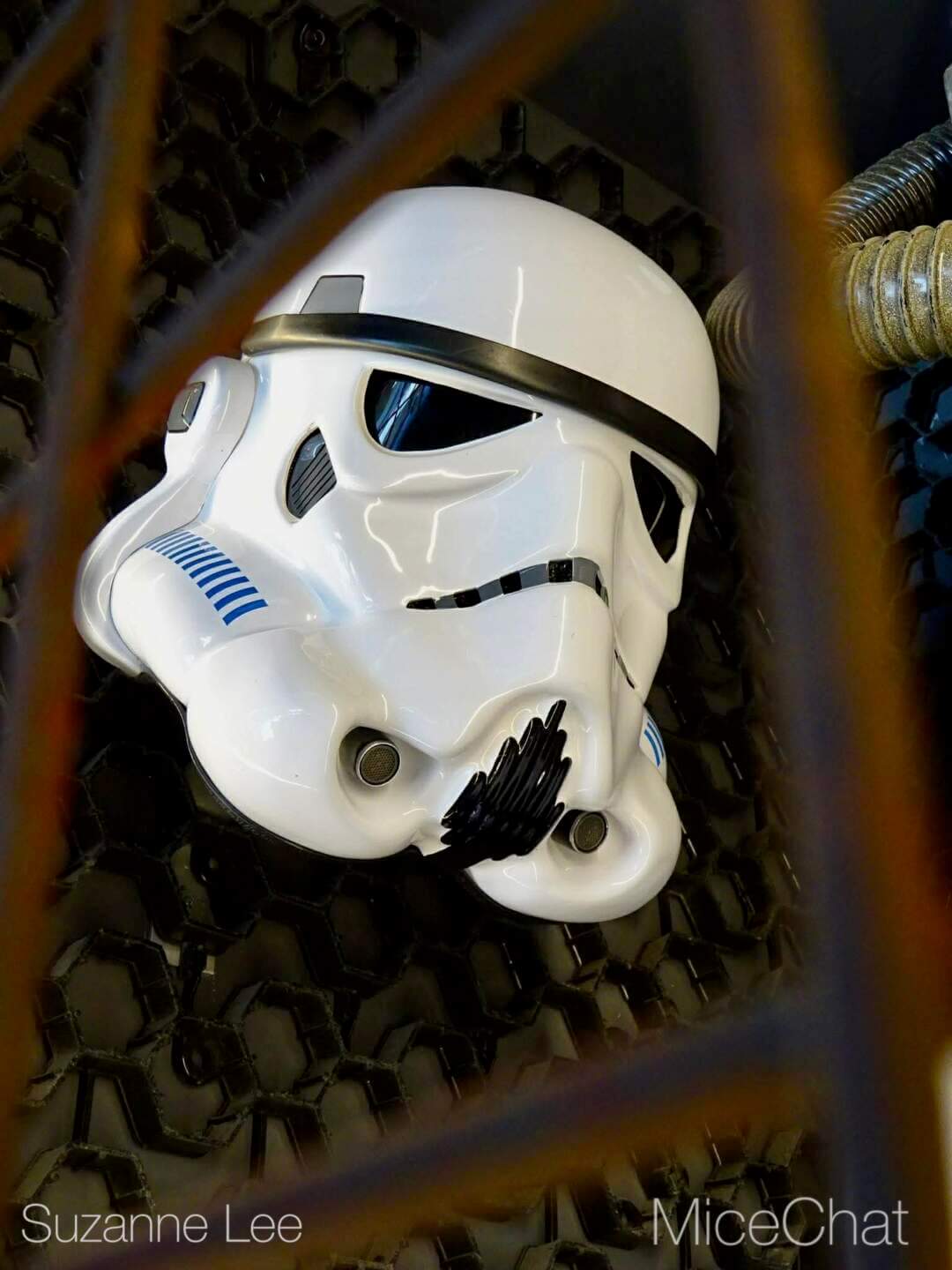 , DISNEYLAND UPDATE: Main Street Honors, Toy Story Things & Star Wars Dreams