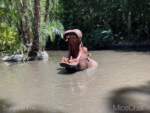 DLR-Jungle-Cruise-6