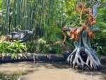 DLR-Jungle-Cruise-7