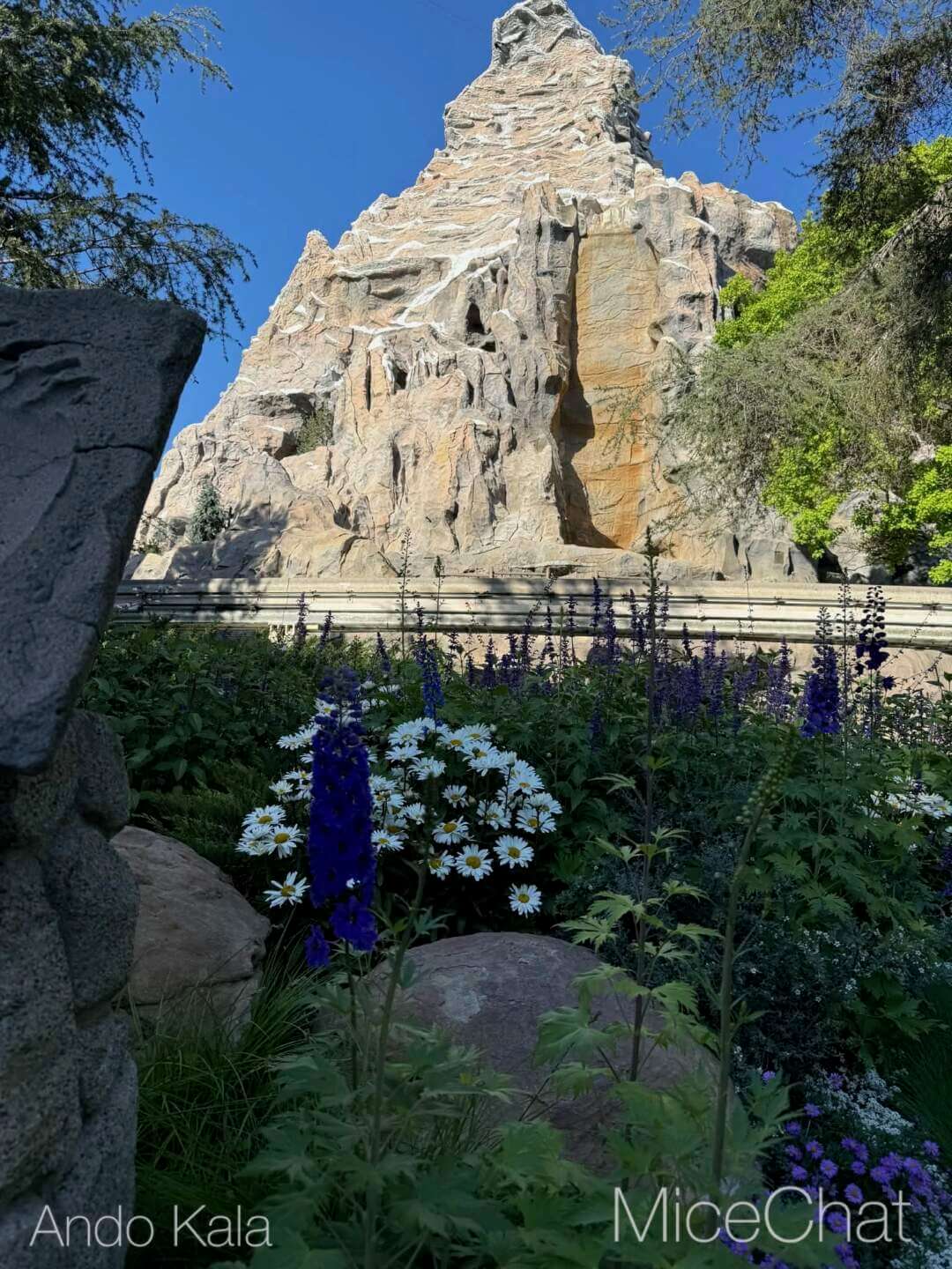 , DISNEYLAND UPDATE: Main Street Honors, Toy Story Things & Star Wars Dreams