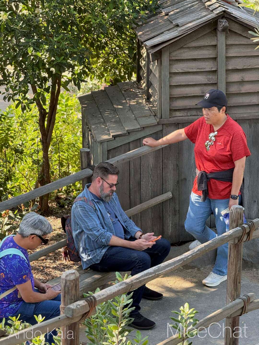 Disneyland Update, DISNEYLAND UPDATE: Spring Break Surge, D23 Drama & Construction Blues