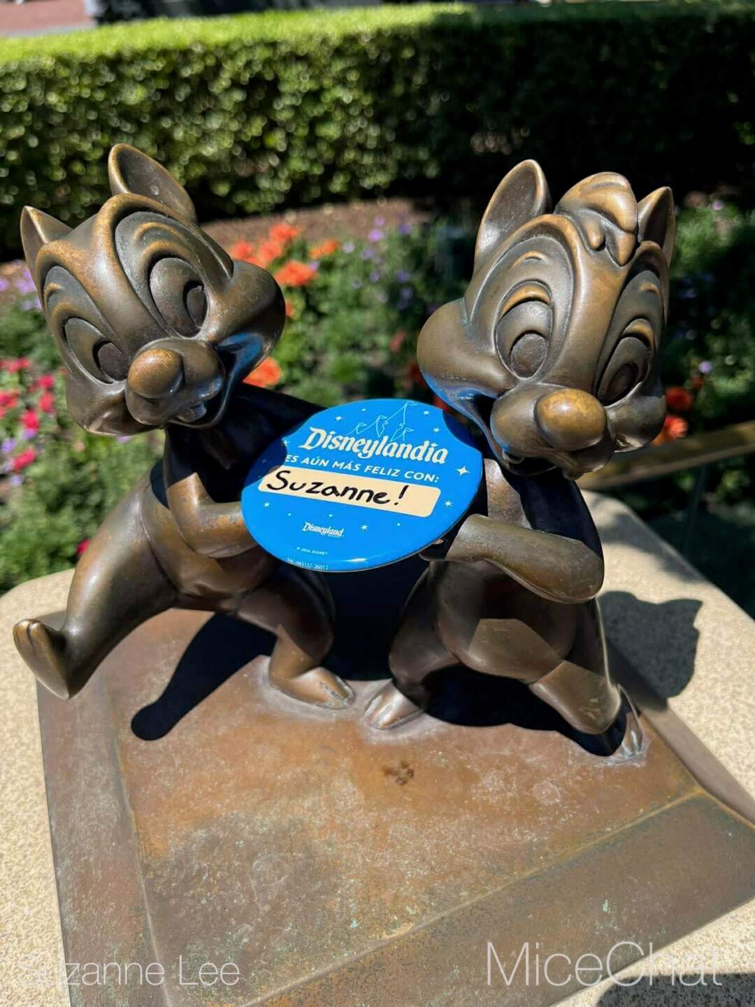 , DISNEYLAND UPDATE: Crowds, Closures & Corporate Cutbacks