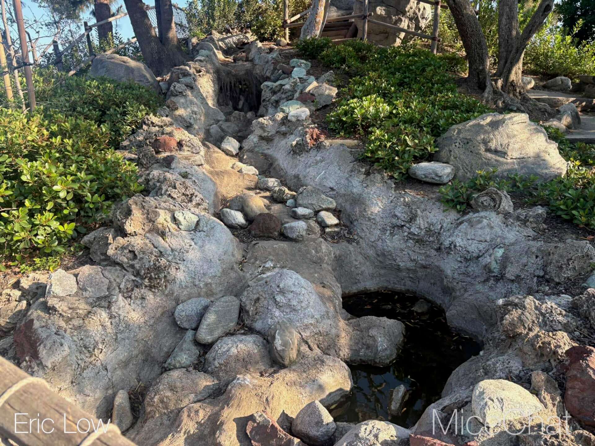 Disneyland Update, DISNEYLAND UPDATE: Spring Break Surge, D23 Drama & Construction Blues
