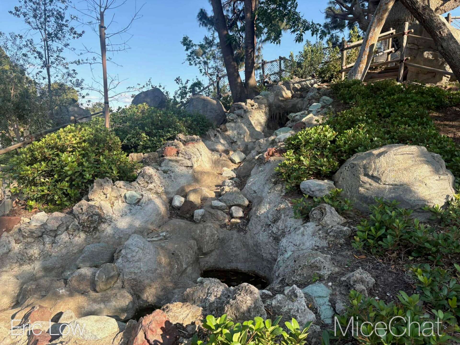 Disneyland Update, DISNEYLAND UPDATE: Spring Break Surge, D23 Drama & Construction Blues
