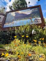 Disneyland Beauty Grizzly Peak MiceChat