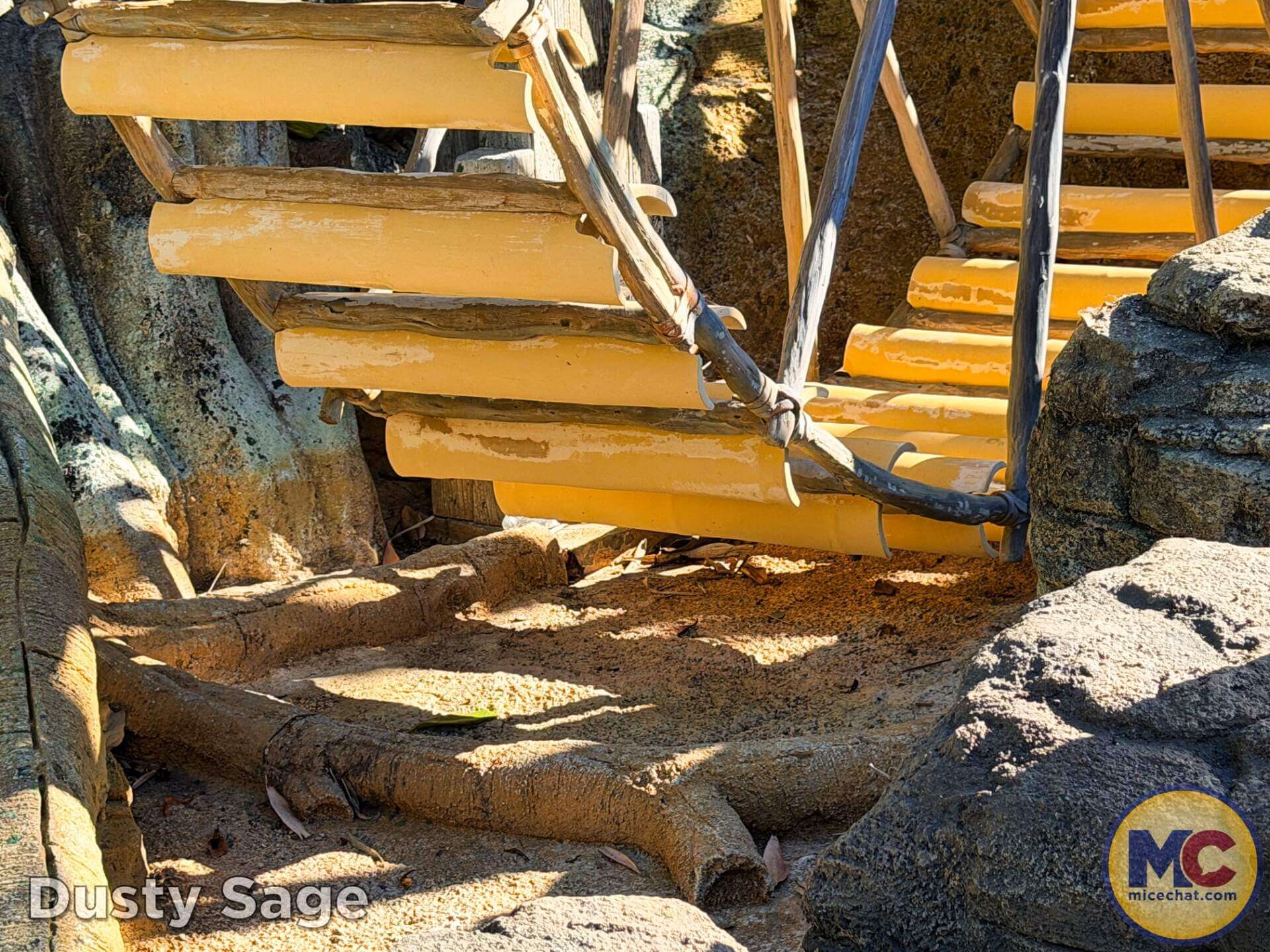 , DISNEYLAND UPDATE: Crowds, Closures & Corporate Cutbacks