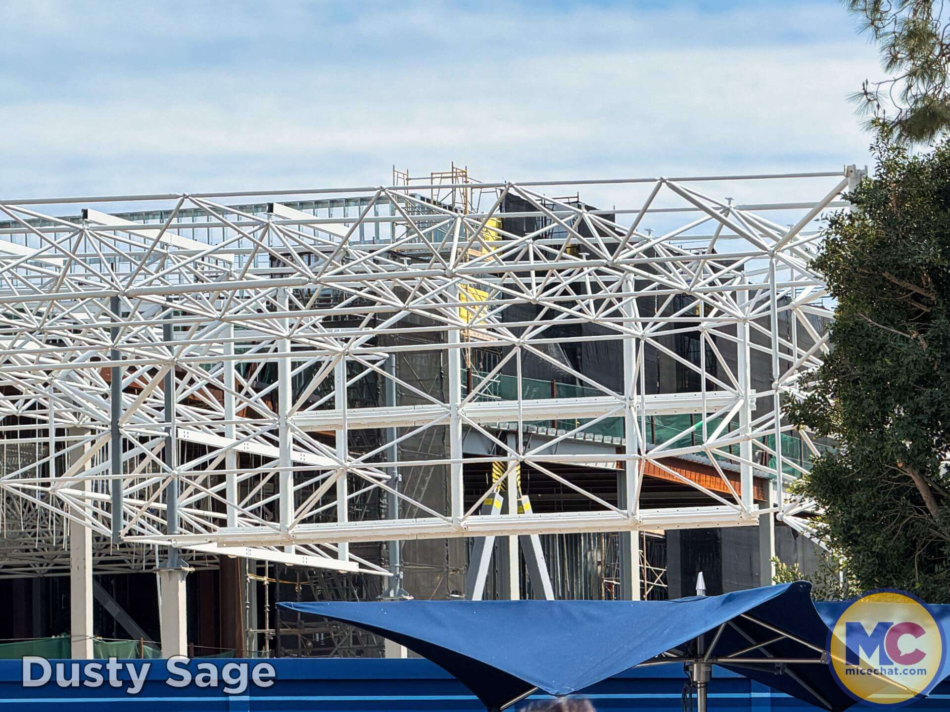, DISNEYLAND UPDATE: Crowds, Closures & Corporate Cutbacks