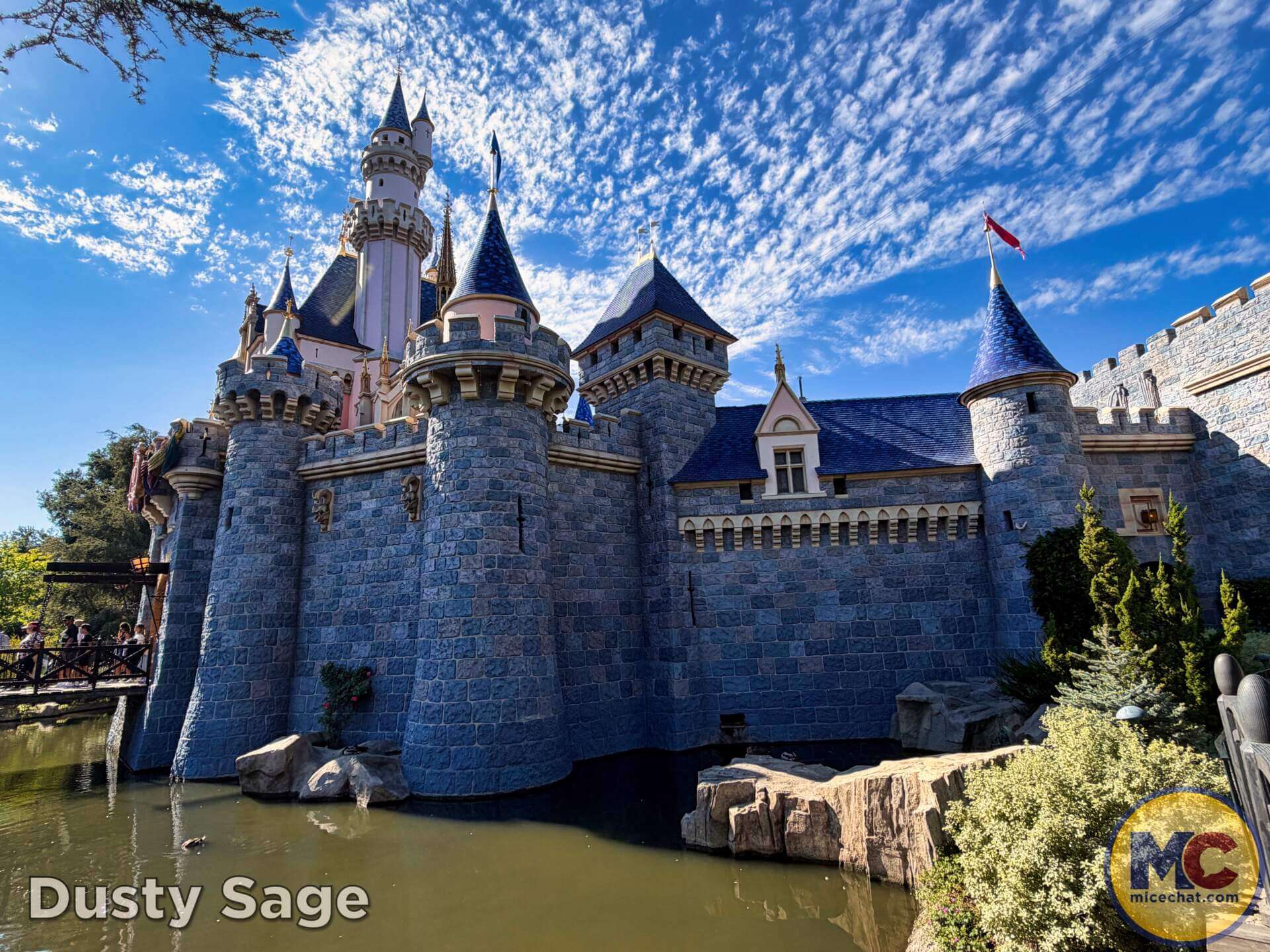 , DISNEYLAND UPDATE: Crowds, Closures & Corporate Cutbacks
