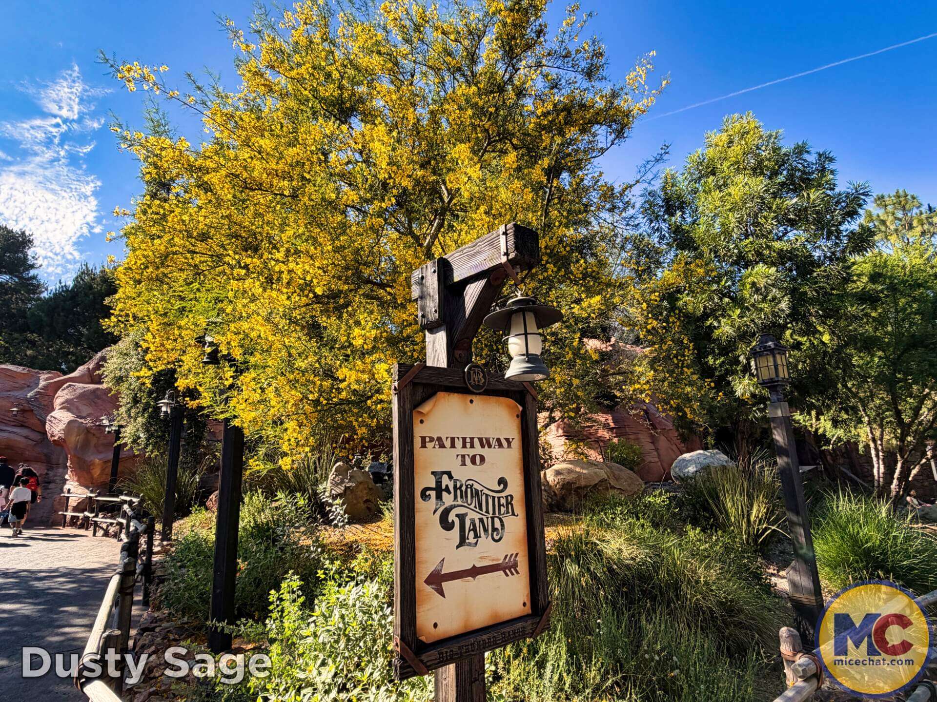 , DISNEYLAND UPDATE: Crowds, Closures & Corporate Cutbacks