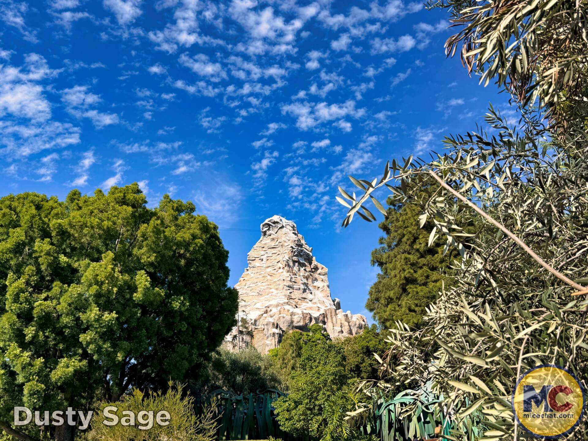 , DISNEYLAND UPDATE: Crowds, Closures & Corporate Cutbacks