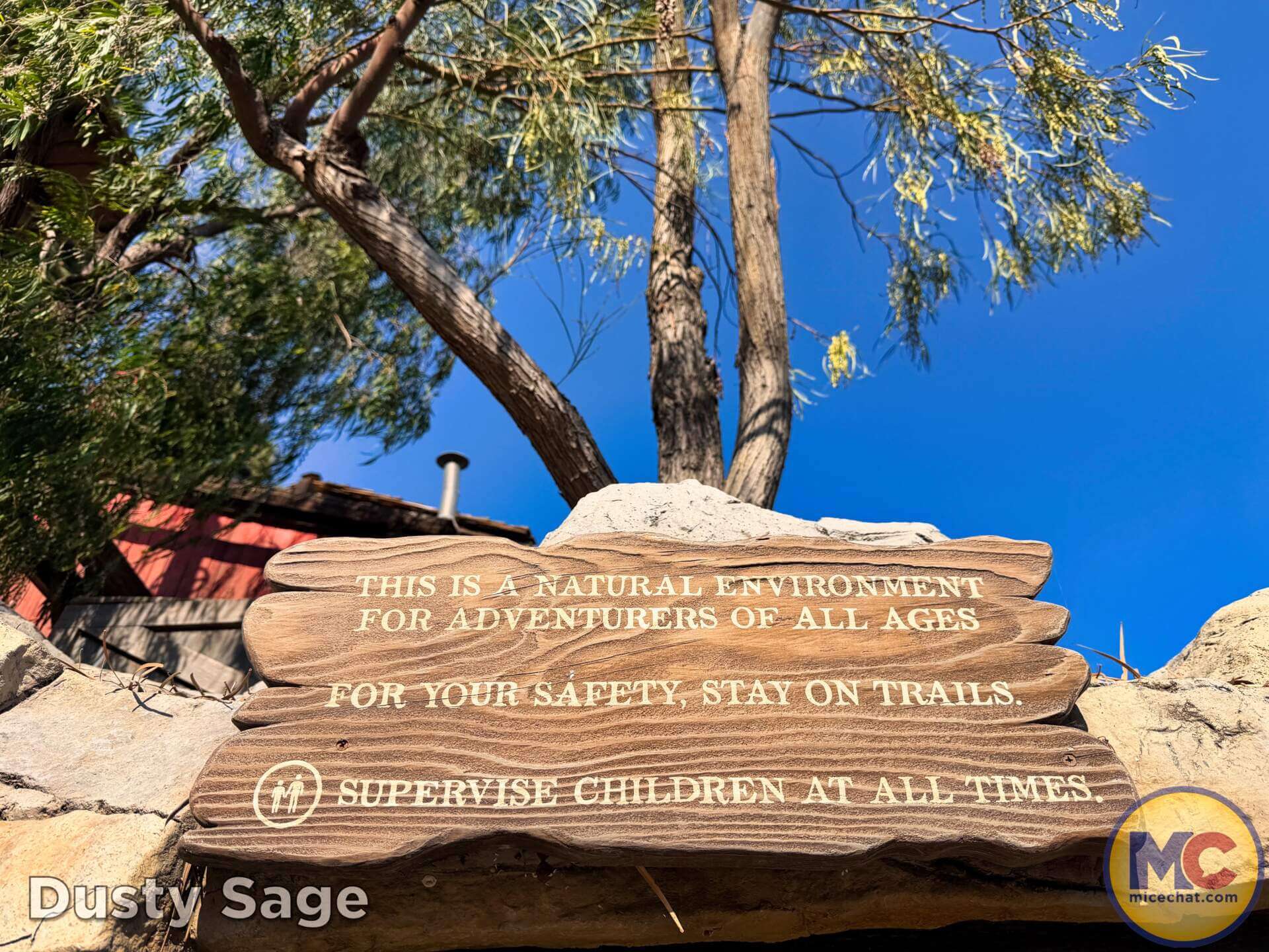 Disneyland Update, DISNEYLAND UPDATE: Spring Break Surge, D23 Drama & Construction Blues