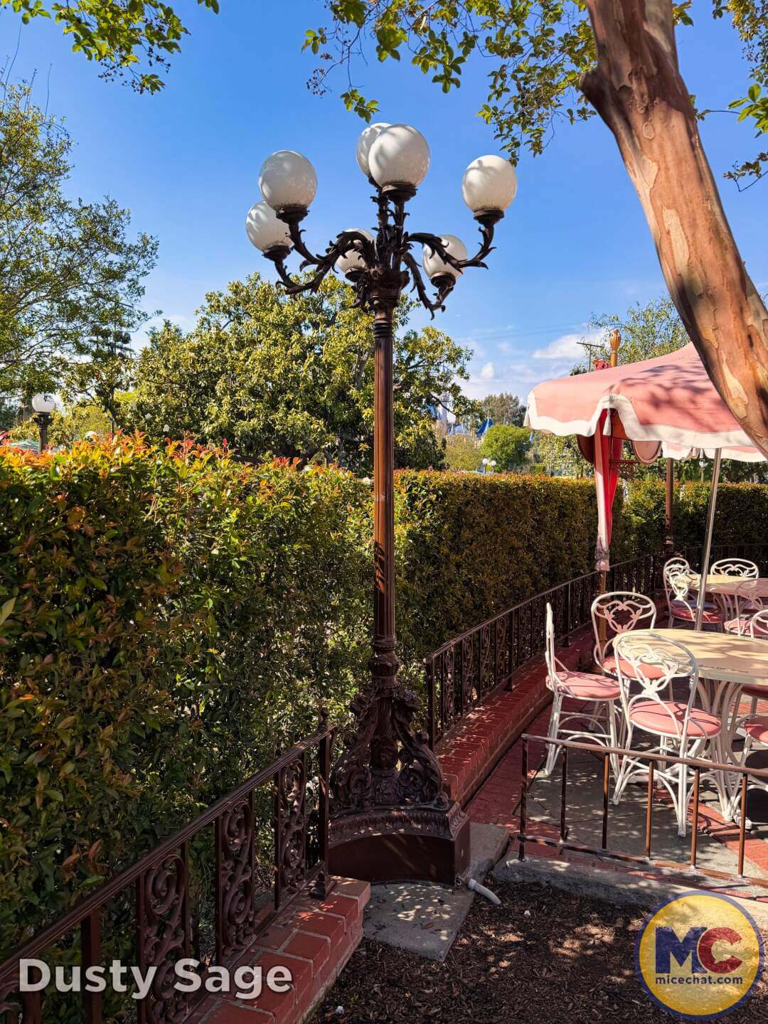 Disneyland Update, DISNEYLAND UPDATE: Spring Break Surge, D23 Drama & Construction Blues