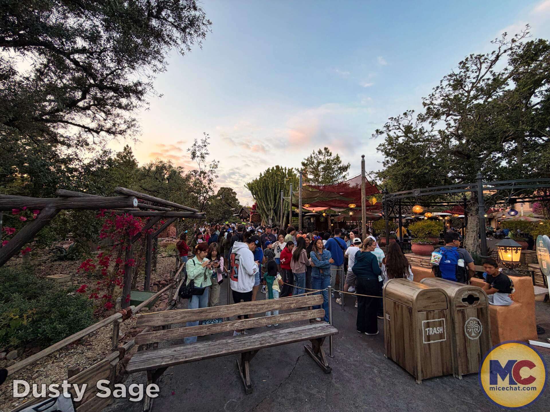 Disneyland Update, DISNEYLAND UPDATE: Spring Break Surge, D23 Drama & Construction Blues