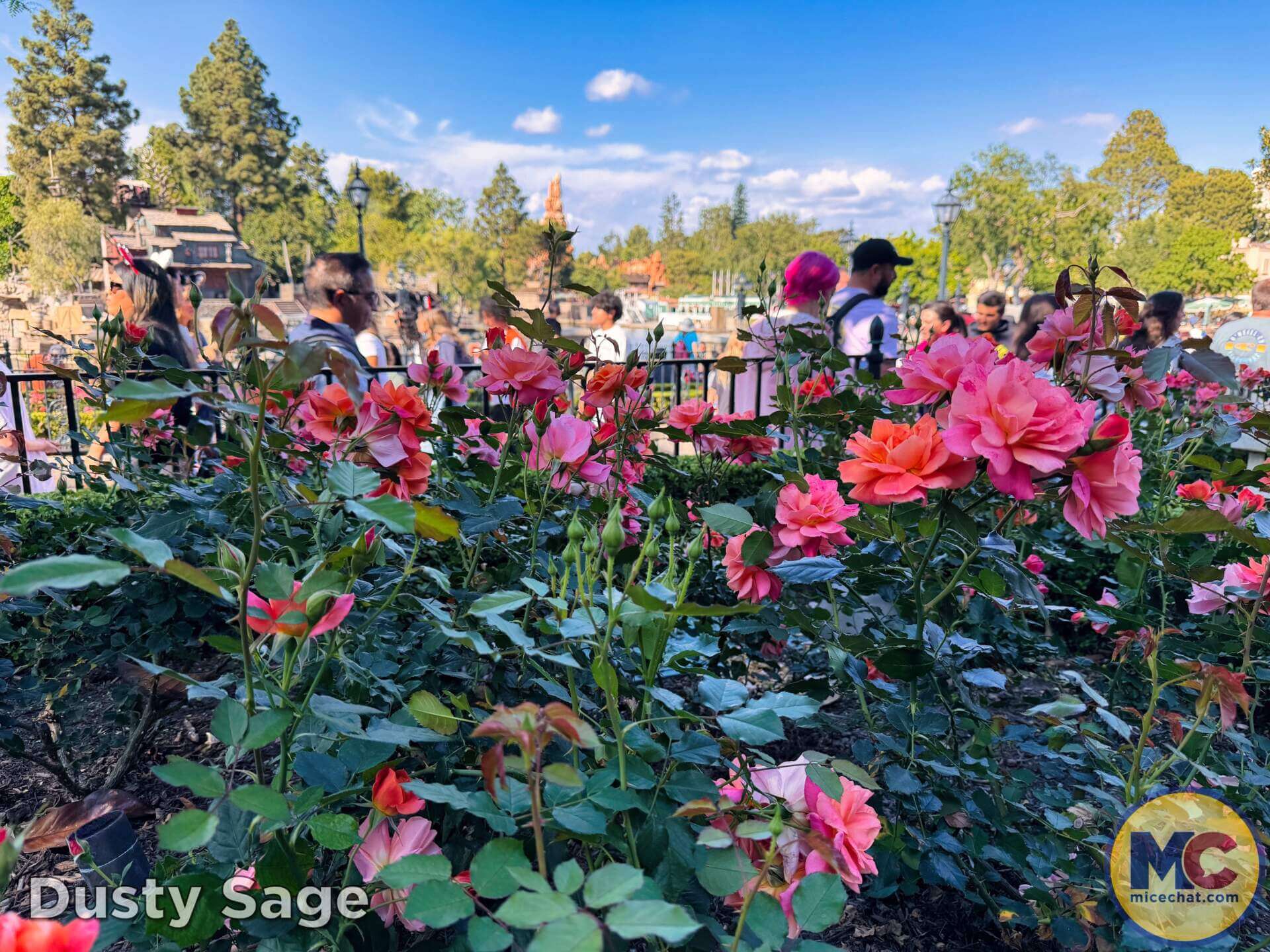Disneyland Update, DISNEYLAND UPDATE: Spring Break Surge, D23 Drama & Construction Blues
