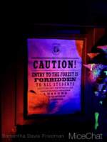 USH-Fan-Fest-Nights-2026-Forbidden-Forest