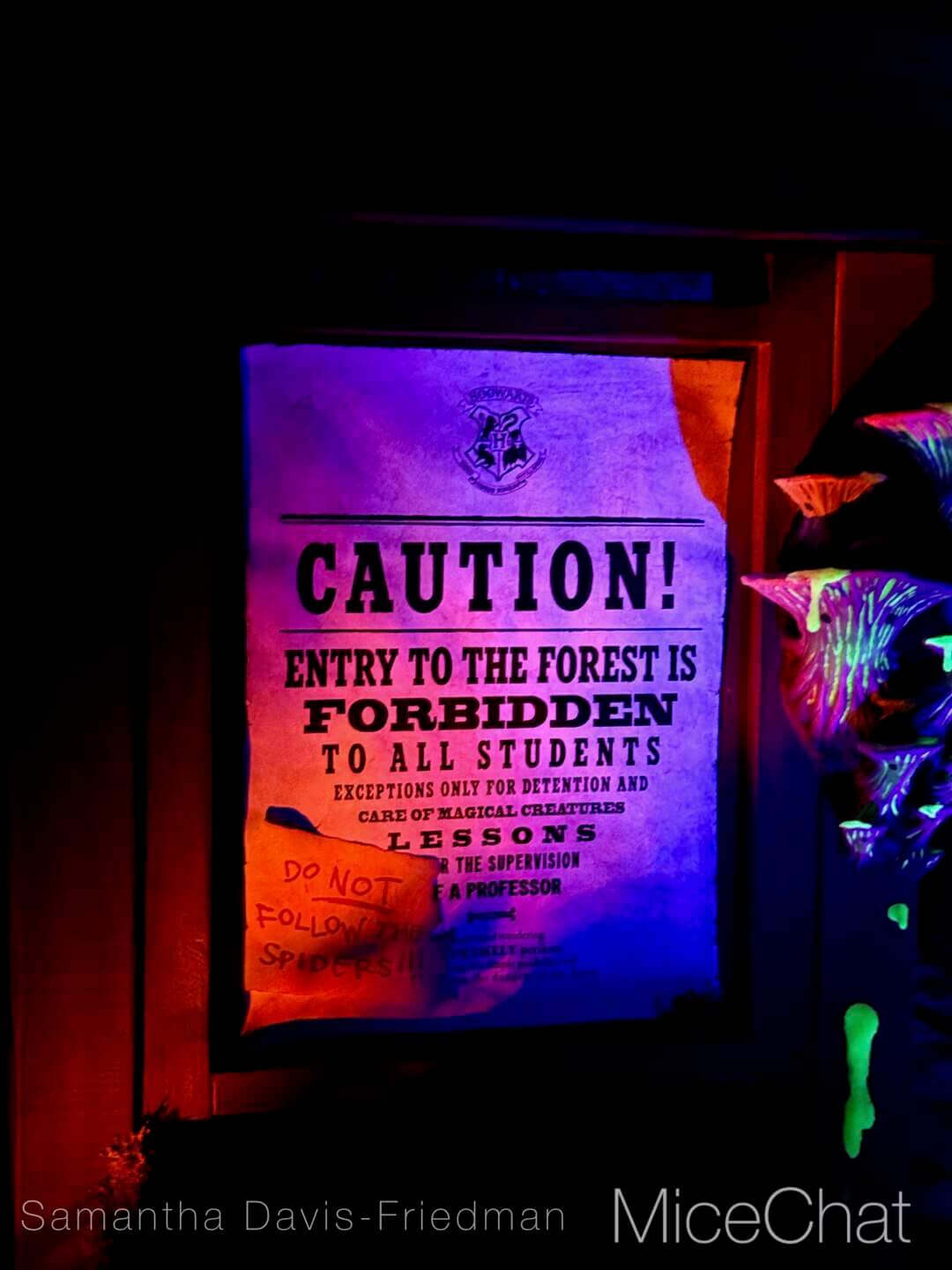 Fan Fest Nights, Universal Fan Fest Nights 2026 Review: Scooby-Doo, Harry Potter, ONE PIECE & More Take Over Universal Hollywood