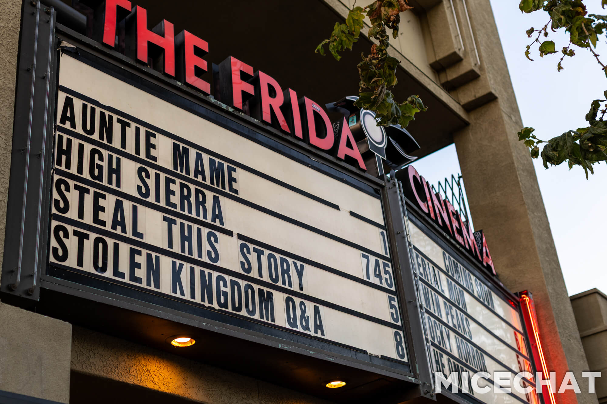 Buzzy, Where’s Buzzy? New Clues From the Filmmakers Behind Stolen Kingdom