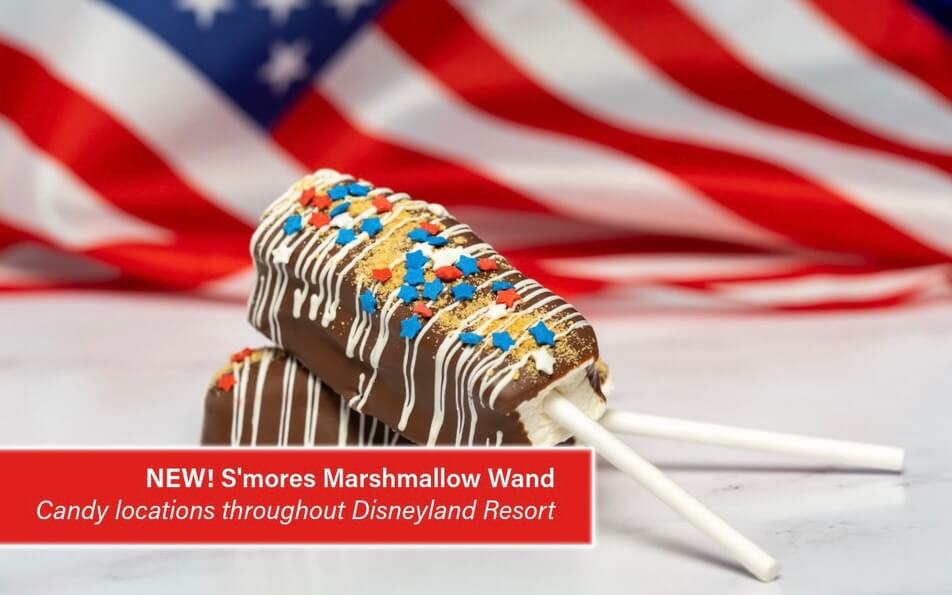 , DISNEYLAND UPDATE: Grogu Nights, Security Fights & Influencer Hype