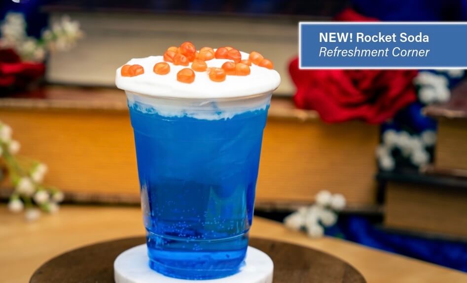 , DISNEYLAND UPDATE: Grogu Nights, Security Fights & Influencer Hype