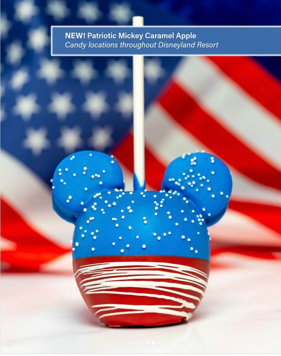 , DISNEYLAND UPDATE: Grogu Nights, Security Fights & Influencer Hype