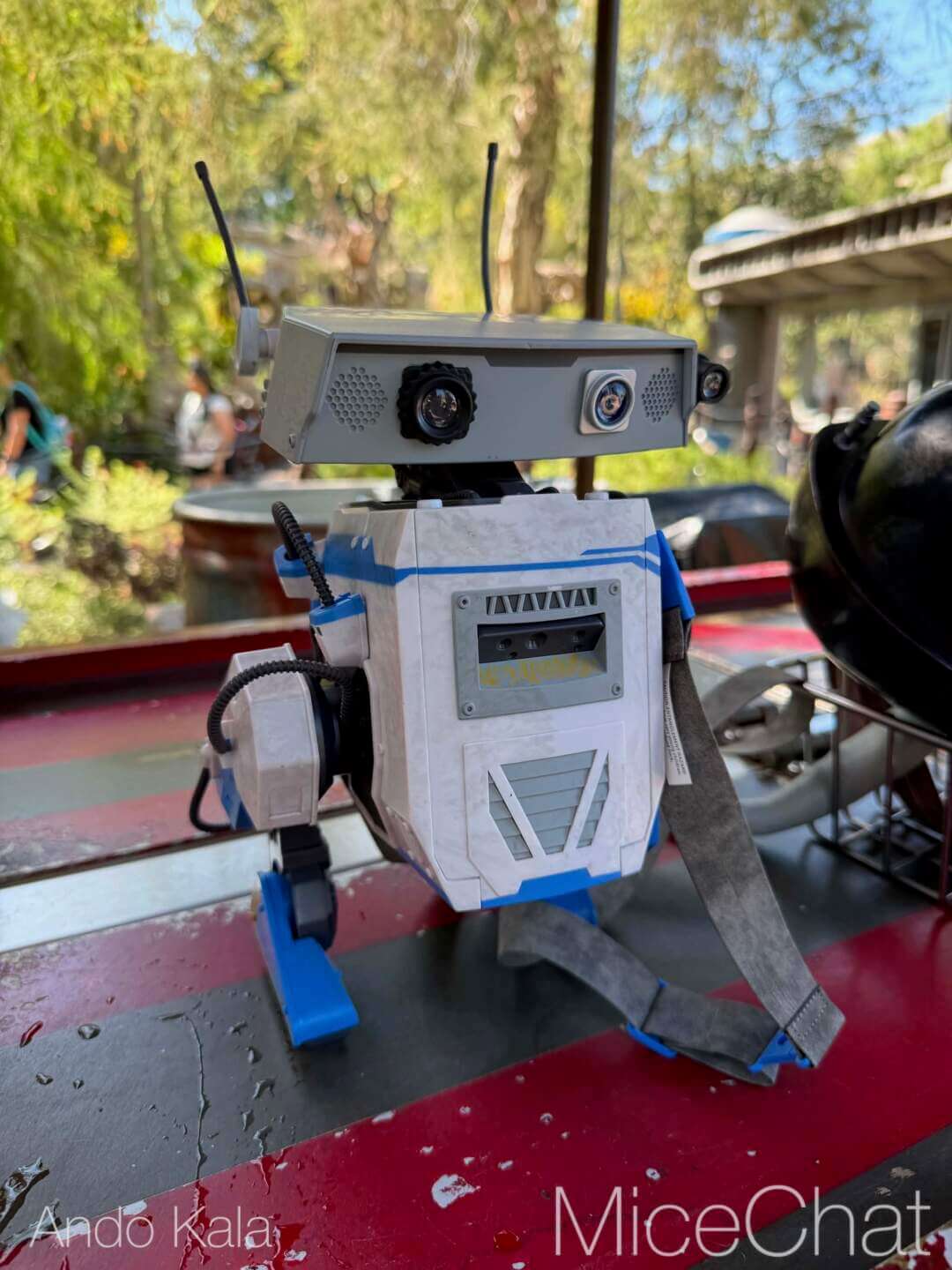 Disneyland News, DISNEYLAND UPDATE: Summer Builds, Shady Spots & Kids Rule