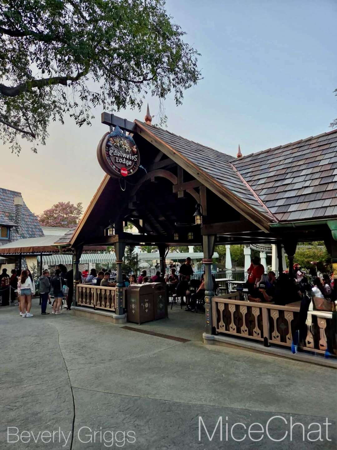 Disneyland, DISNEYLAND UPDATE: Secret Grogu Mode, Coco Walls & An Emergency Next Door