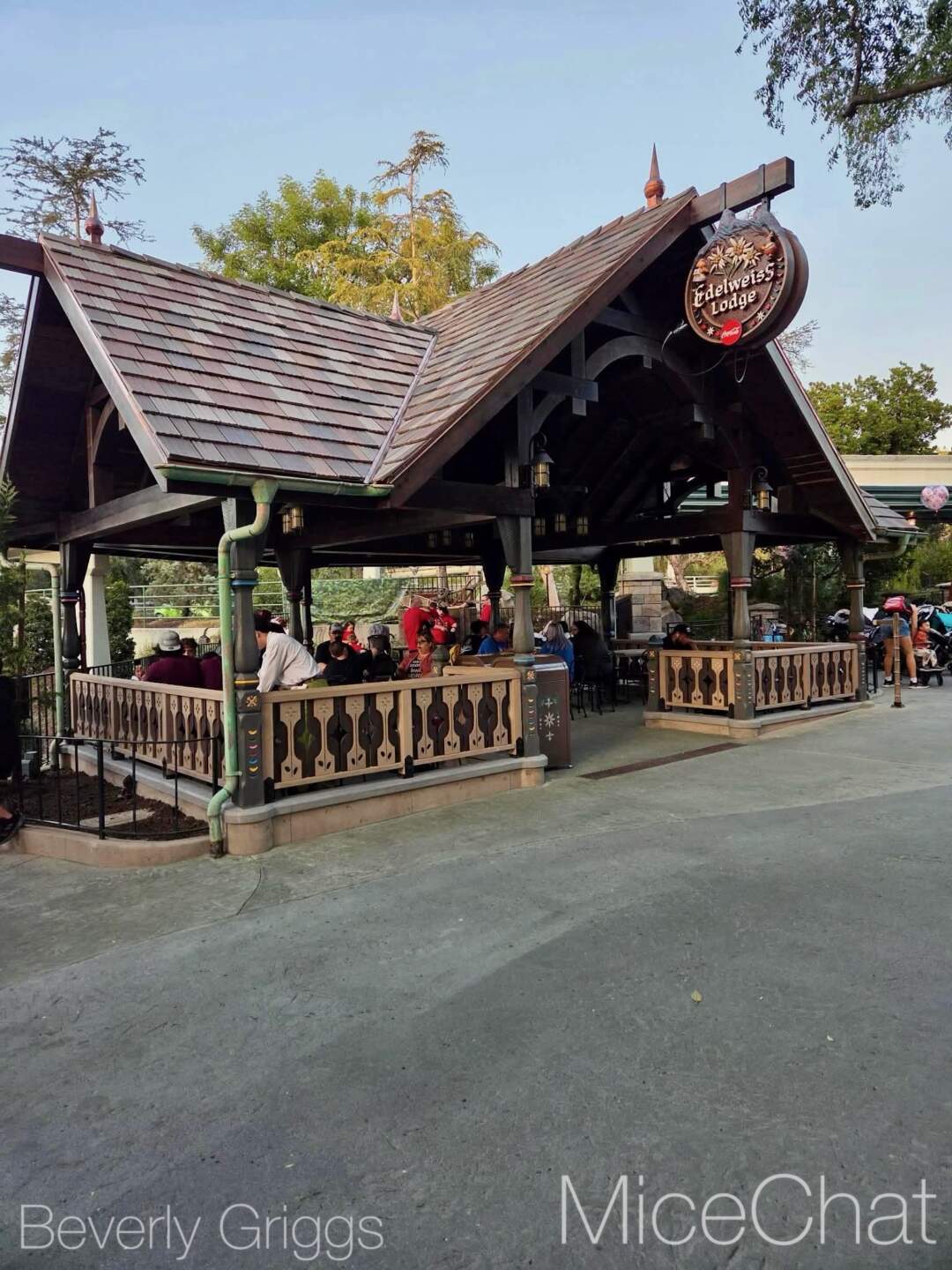 Disneyland News, DISNEYLAND UPDATE: Summer Builds, Shady Spots & Kids Rule