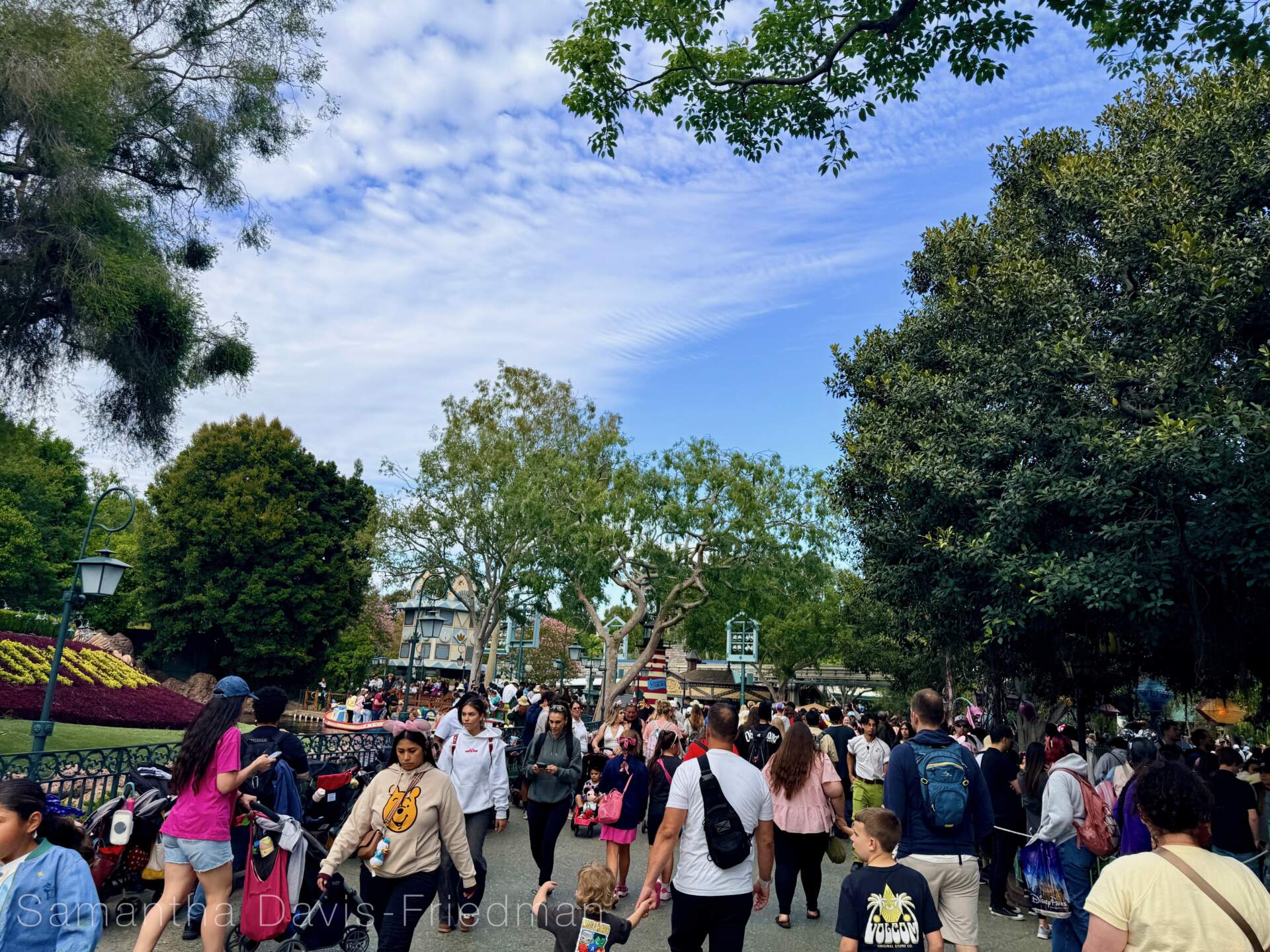 Disneyland News, DISNEYLAND UPDATE: Summer Builds, Shady Spots & Kids Rule