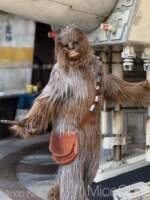 DLR-GE-Chewbacca
