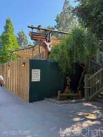 DLR-Hungry-Bear-Construction-1