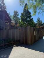 DLR-Hungry-Bear-Construction-2