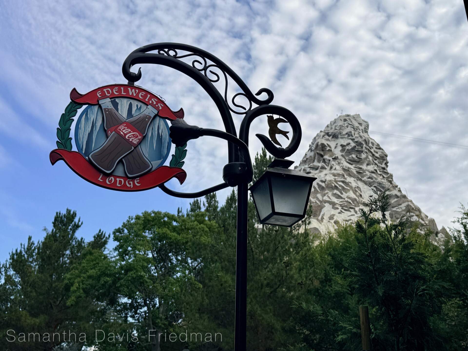 Disneyland News, DISNEYLAND UPDATE: Summer Builds, Shady Spots & Kids Rule