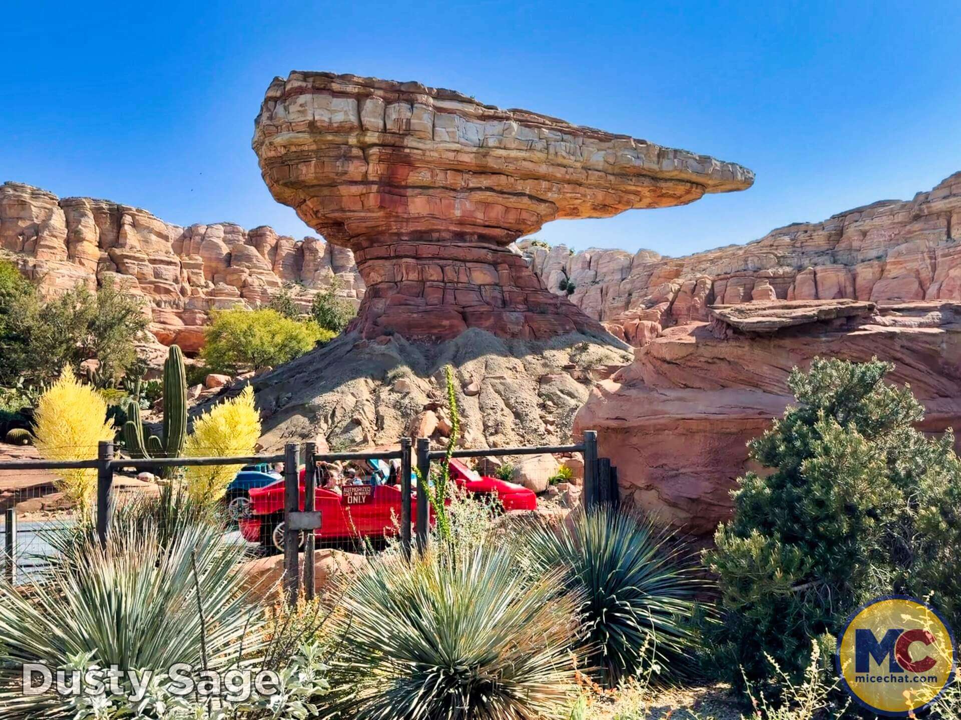 , DISNEYLAND UPDATE: Autopia Sparks, Star Wars Snarls & Summer Starts