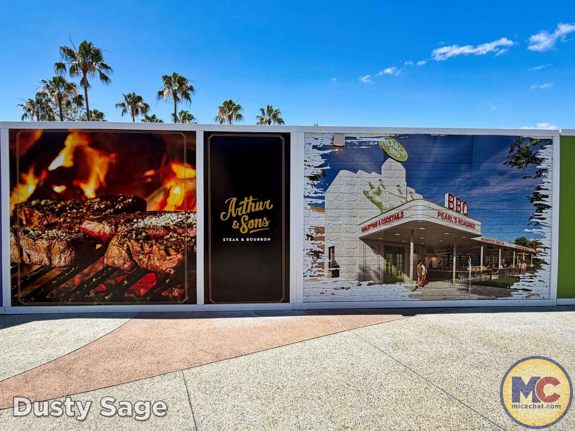 Disneyland News, DISNEYLAND UPDATE: Summer Builds, Shady Spots & Kids Rule