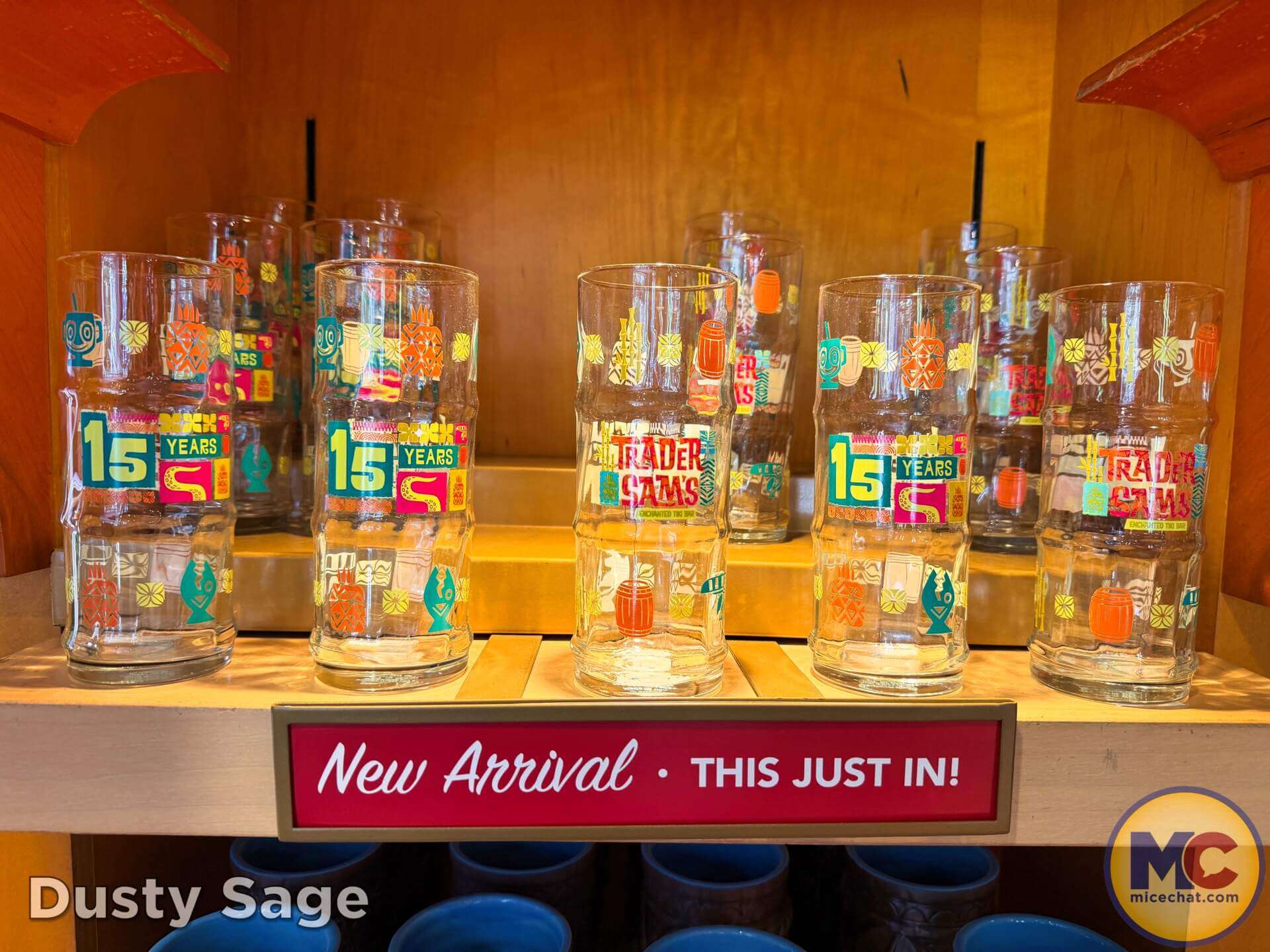 , DISNEYLAND UPDATE: Grogu Nights, Security Fights & Influencer Hype