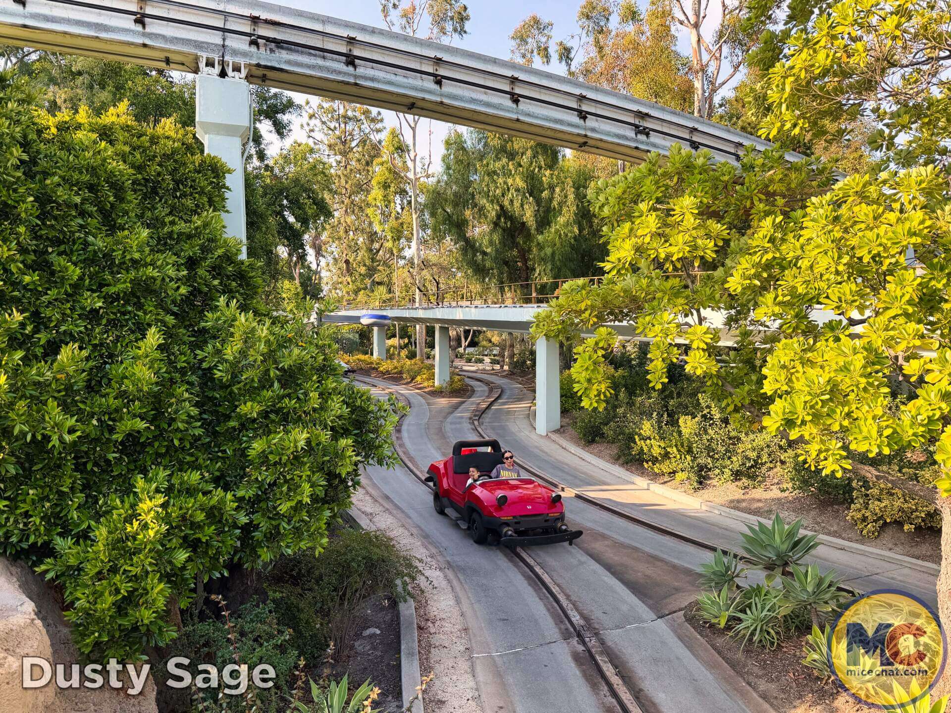 , DISNEYLAND UPDATE: Grogu Nights, Security Fights & Influencer Hype
