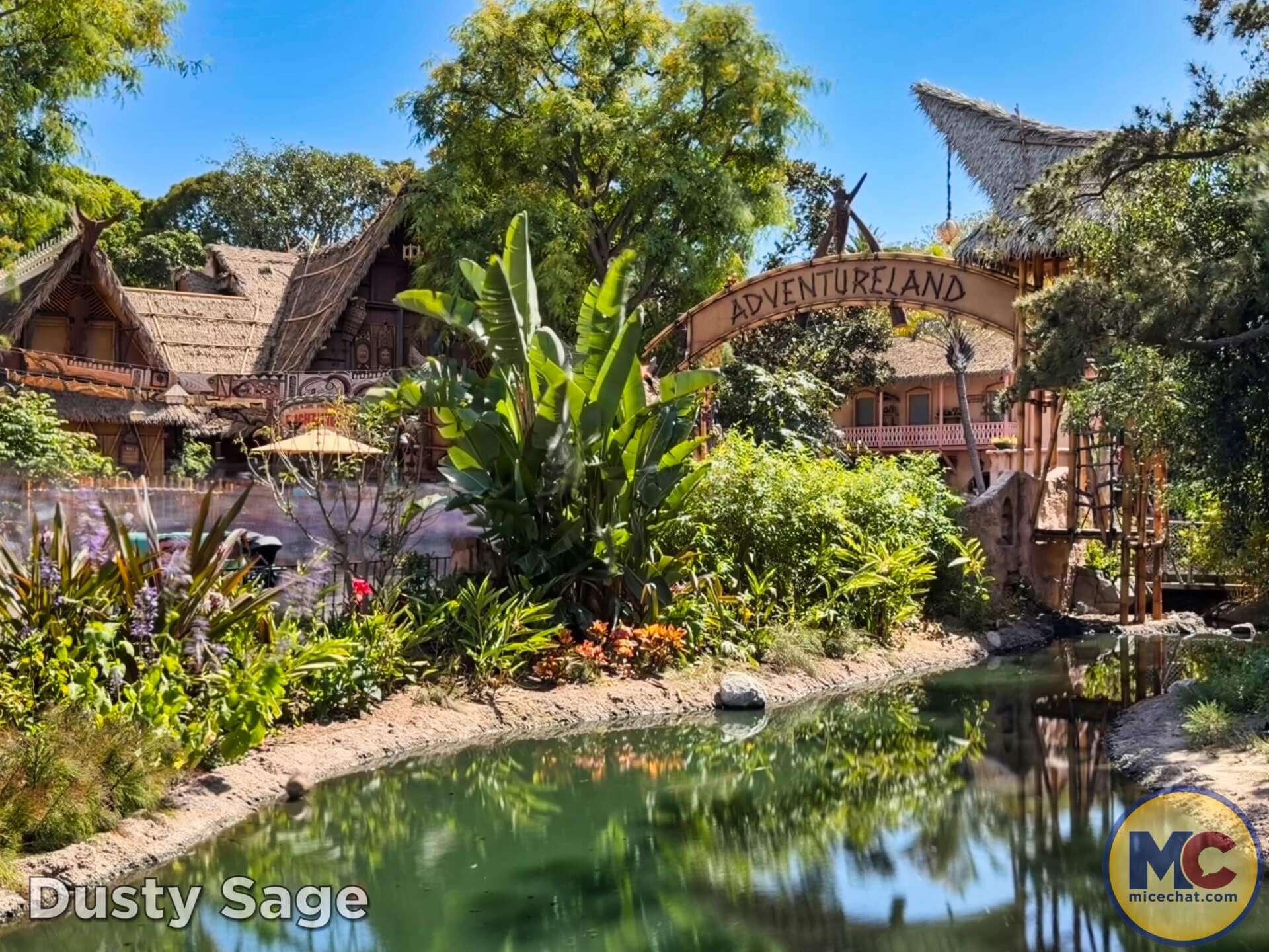 Disneyland News, DISNEYLAND UPDATE: Summer Builds, Shady Spots & Kids Rule